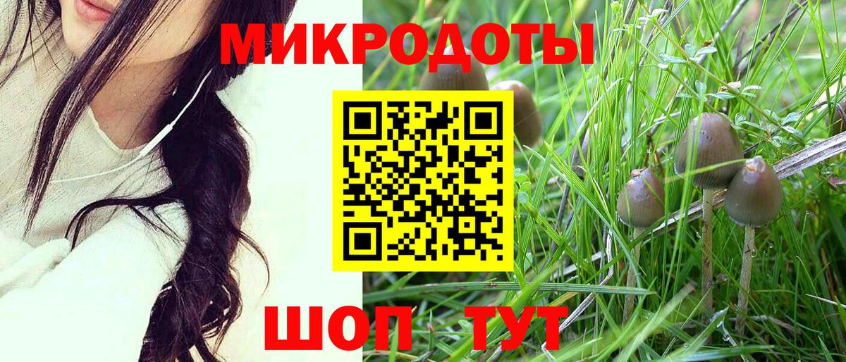 продажа наркотиков  Вход с VPN  Волгодонск  Псилоцибиновые грибы Psilocybe 